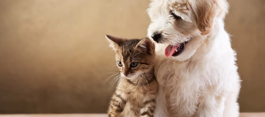 Wasatch Animal Clinic