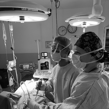 Wayne D. Hsueh, MD - Nasal and Sinus Surgery, Allergy, and Skull Base Surgery