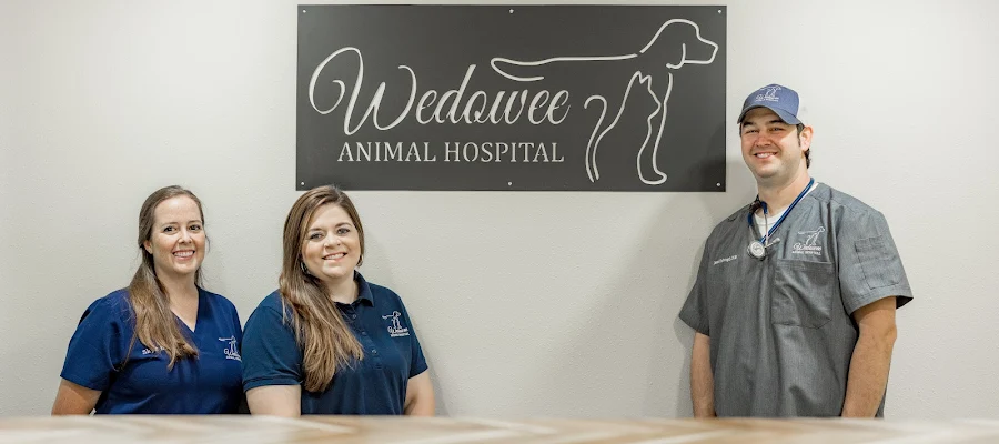 Wedowee Animal Hospital