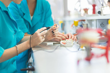 Wellness Dental
