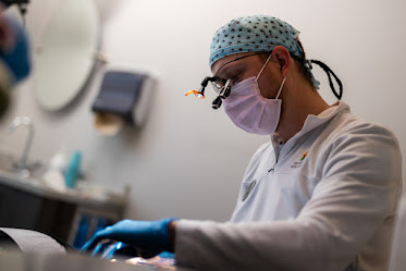 Wells Family Dental Group - Park West