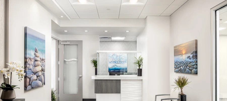 Wellspring Dental Group