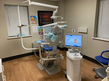 Wesley Chapel Dentistry