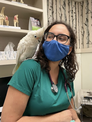 West Hills Veterinary Centre