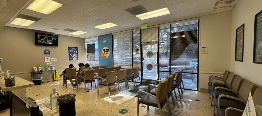 Western Dental & Orthodontics