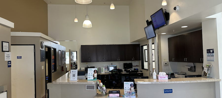 Western Dental & Orthodontics