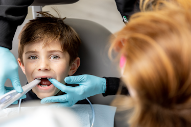 Whole Dental Wellness - Roseville