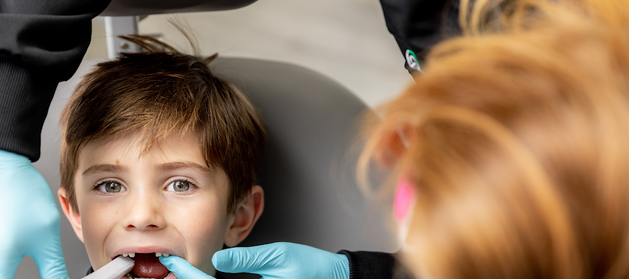 Whole Dental Wellness - Roseville