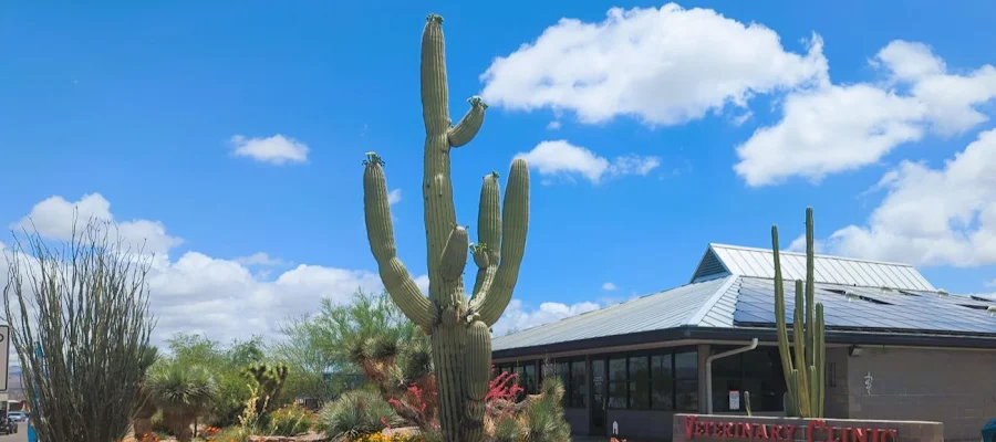 Wickenburg Veterinary Clinic
