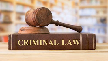 William Proetta Criminal Law