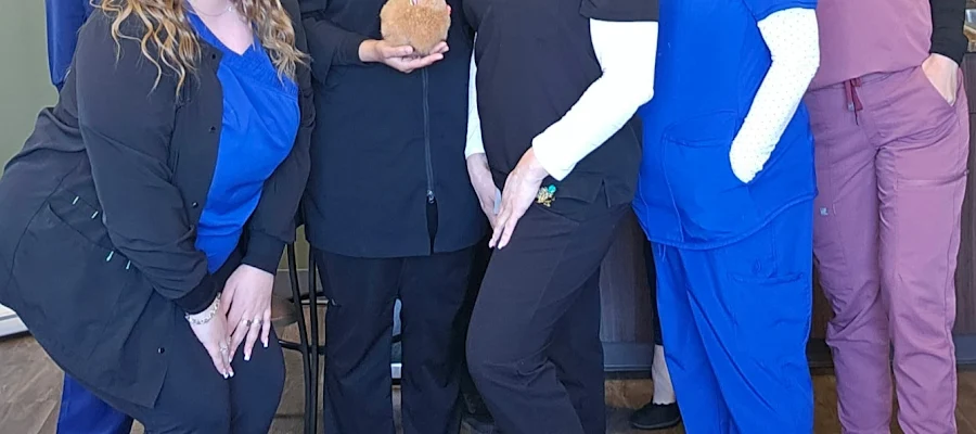 Wolfe Dental Spa