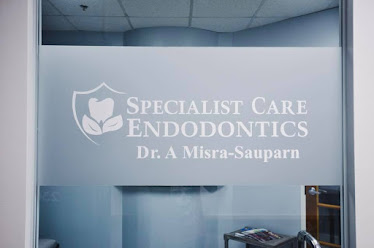 Woodbridge Endodontist Specialist Care Endodontics