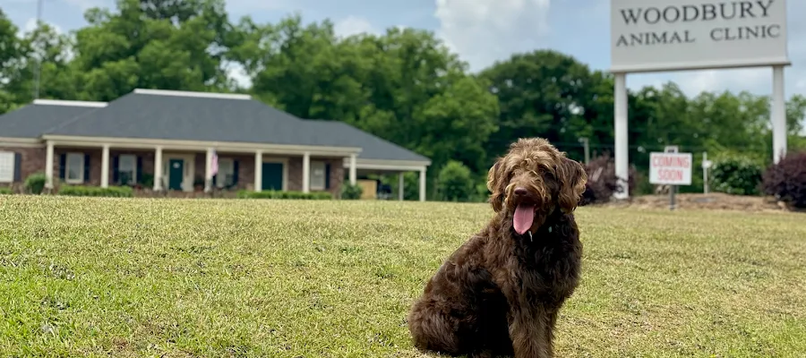 Woodbury Animal Clinic