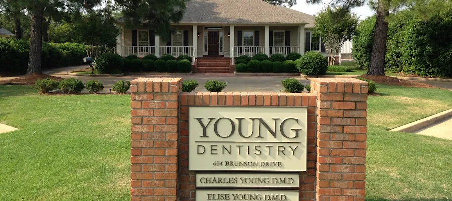 Young Dentistry