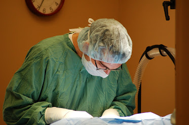 Zionsville Animal Hospital