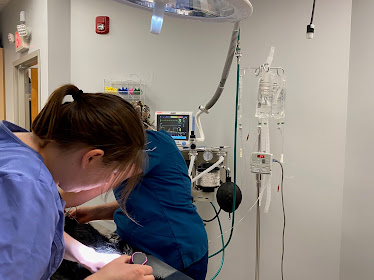 Zionsville Pet Wellness Clinic